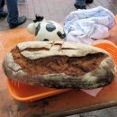 Backtag 2012-11-10 - 4